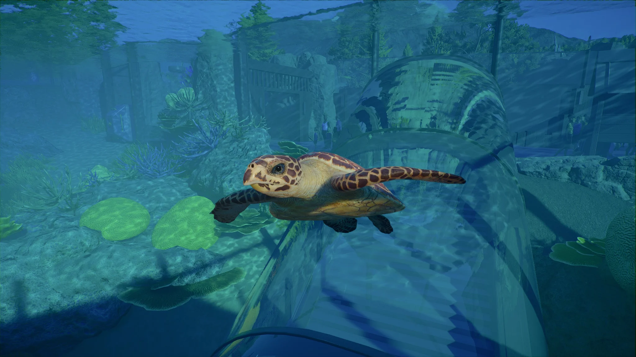 Imagen promocional relacionada con Planet Zoo 2 convierte a sus animales en la gran estrella de la gestión del zoo · imagen 5
